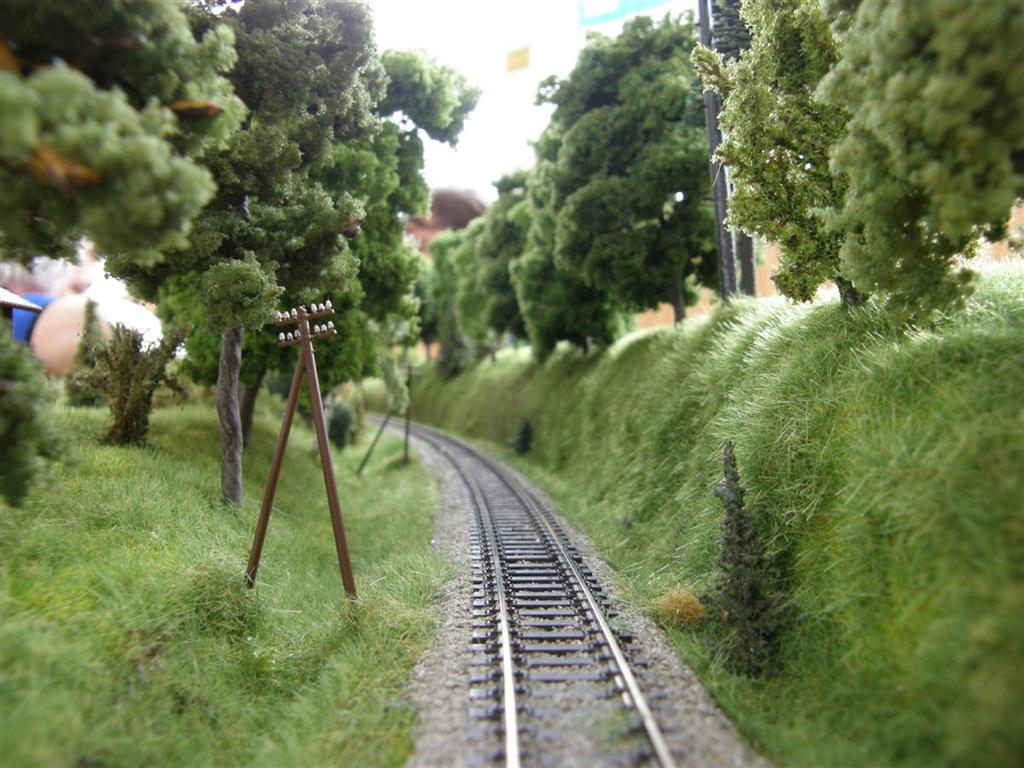 Zakupy2010