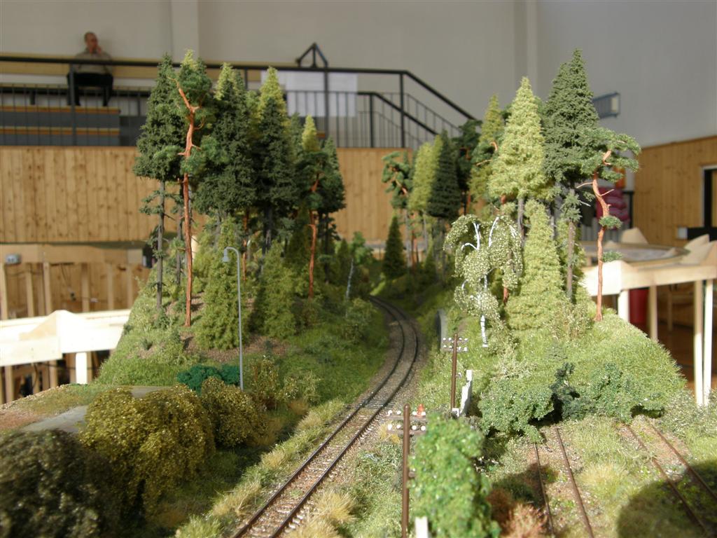Zakupy2011